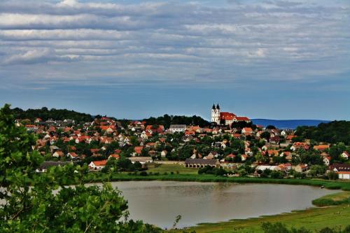 Festival-lavande-Turisticka-agencija-Srbobran-0