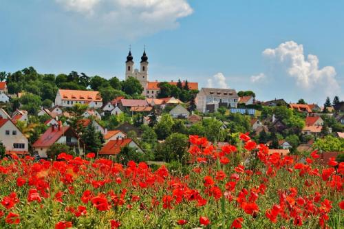 Festival-lavande-Turisticka-agencija-Srbobran-3