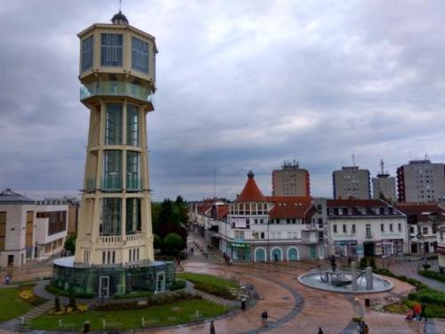 Festival-lavande-Turisticka-agencija-Srbobran-7.jpeg