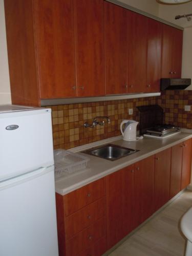 Apartmani-Natasa-Nei-Pori-leto-grcka-grcka-apartmani-apartmani-Nei-Pori-10 19-03-2018-122759