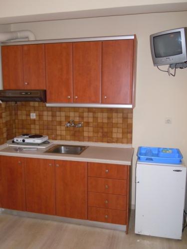 Apartmani-Natasa-Nei-Pori-leto-grcka-grcka-apartmani-apartmani-Nei-Pori-8 19-03-2018-122757