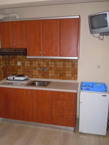 Apartmani-Natasa-Nei-Pori-leto-grcka-grcka-apartmani-apartmani-Nei-Pori-9 19-03-2018-122758